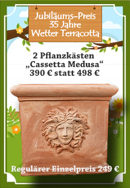 Impruneta Terracotta Pflanzgefäß
